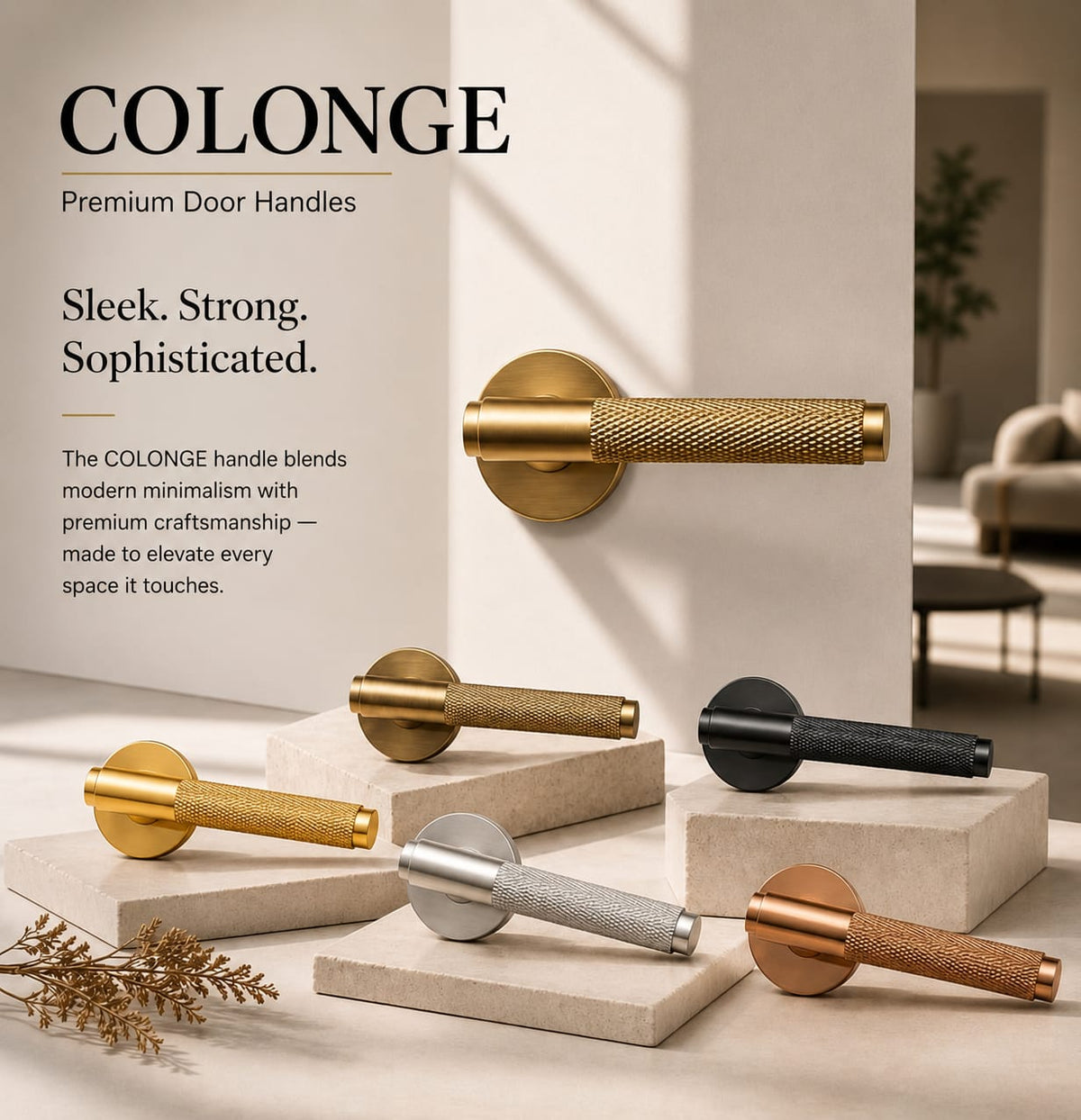 COLONGE