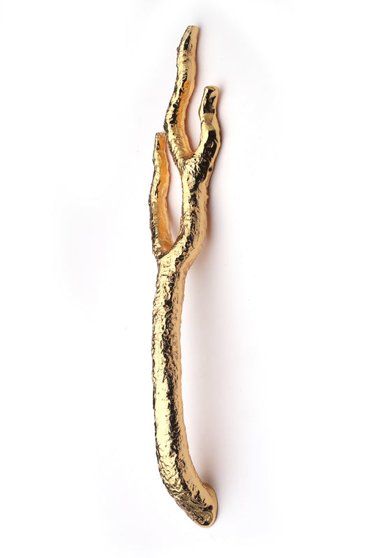 BRANCH